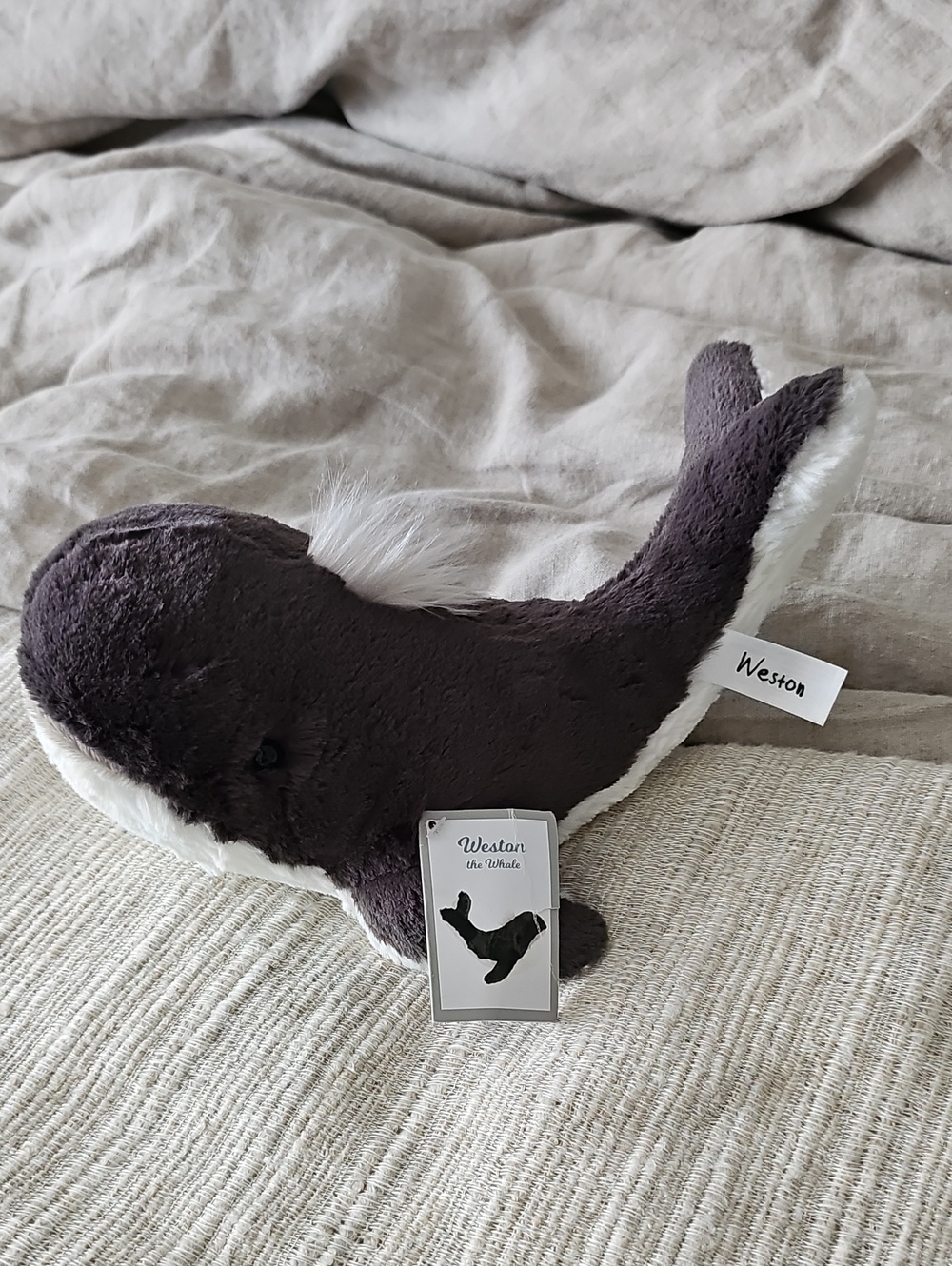 Aurora Weston Whale Plush